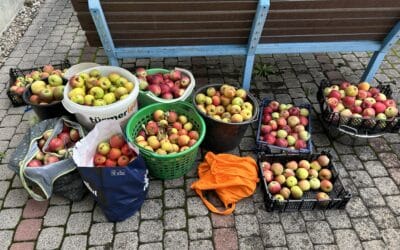 Apfelsaft selbst gemacht – ein besonderer Schulmorgen!